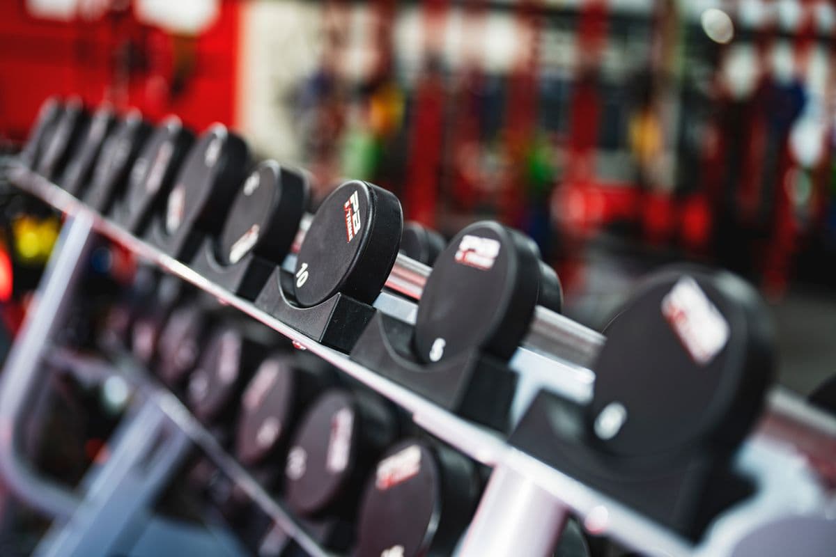 Gym workout equipment